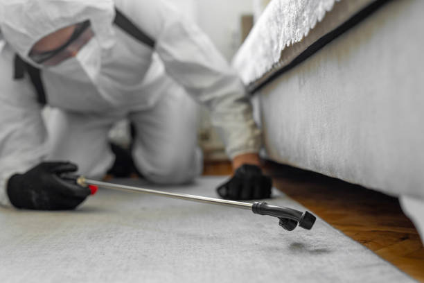 Professional Bed Bug Control technician working in Great Neck Estates, NY